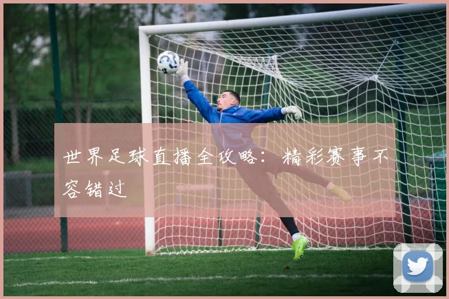 世界足球直播全攻略：精彩赛事不容错过