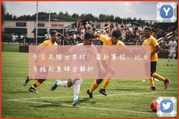 今日足球世界杯:最新赛程、比分与精彩集锦全解析